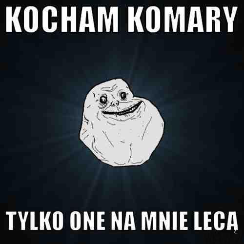 Kocham komary. Tylko one na mnie lecą