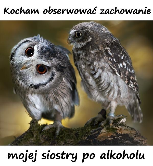 Kocham obserwować zachowanie mojej siostry po alkoholu