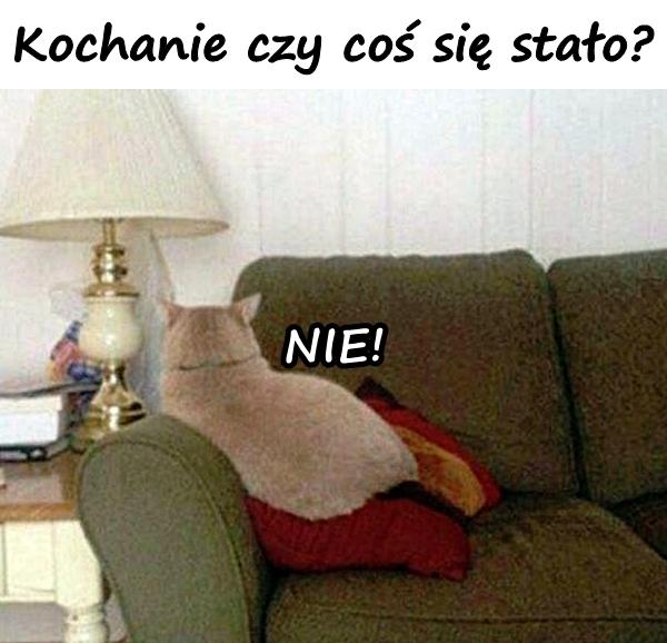 - Kochanie czy coś się stało? - Nie