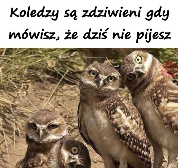 Koledzy są zdziwieni gdy mówisz, że dziś nie pijesz