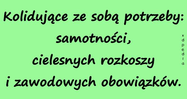 Kolidujące ze sobą potrzeby: samotności, cielesnych