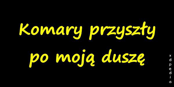 Komary przyszły po moją duszę