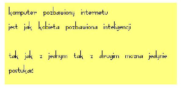 Komputer pozbawiony internetu jest jak kobieta pozbawiona