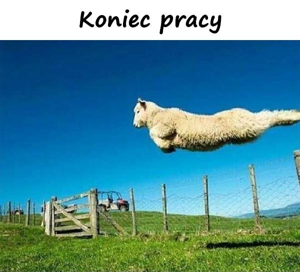 Koniec pracy