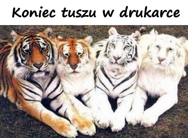 Koniec tuszu w drukarce