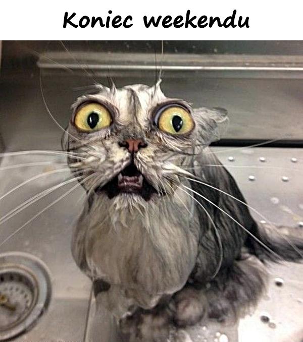 Koniec weekendu