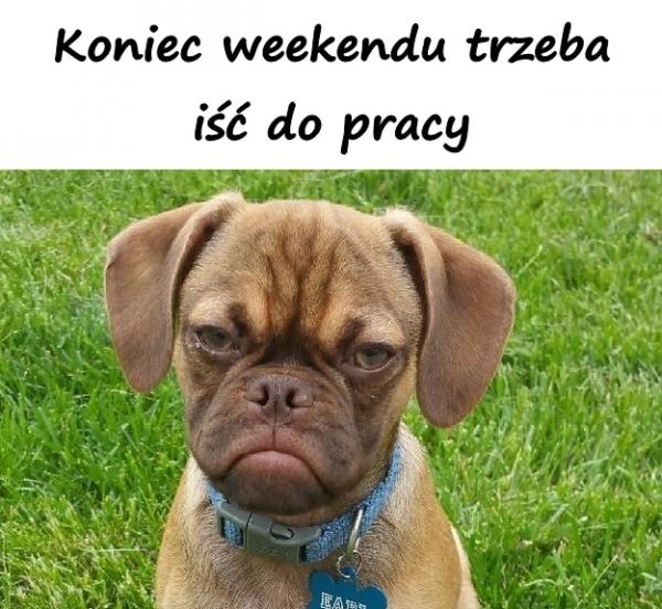 Koniec weekendu trzeba iść do pracy