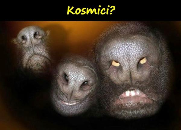 Kosmici