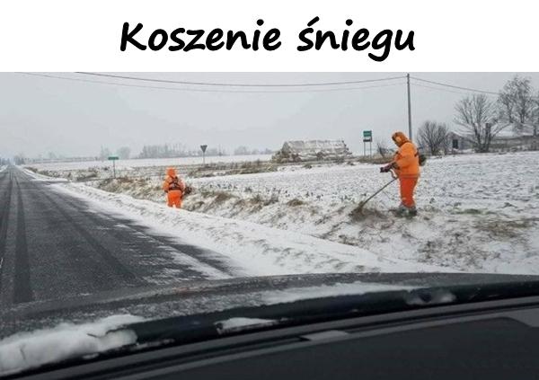 Koszenie śniegu