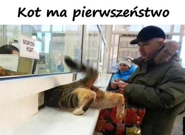 Kot ma pierwszeństwo