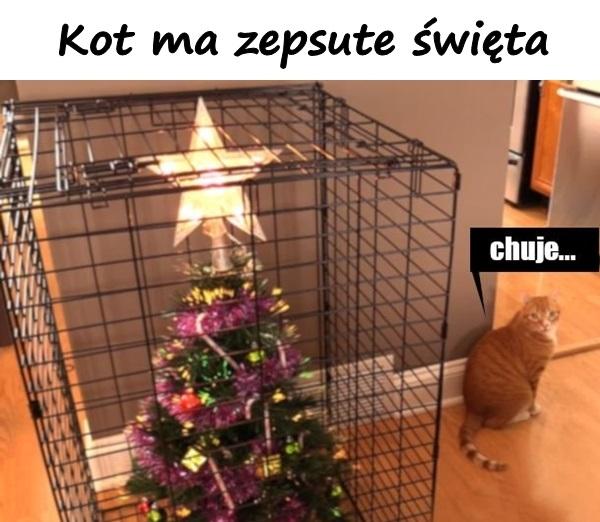 Kot ma zepsute święta