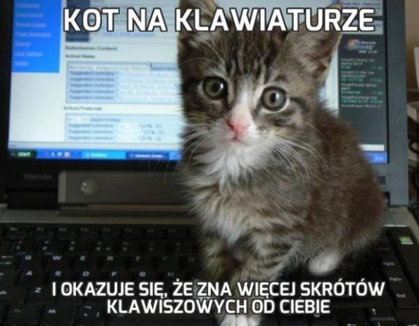 Kot na klawiaturze i okazuje się, że zna więcej skrótów