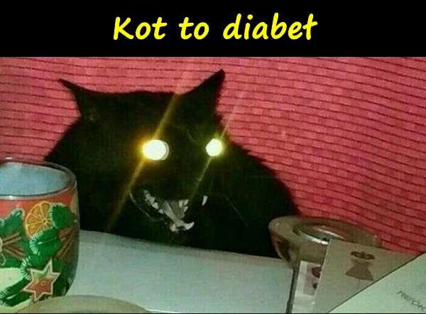 Kot to diabeł