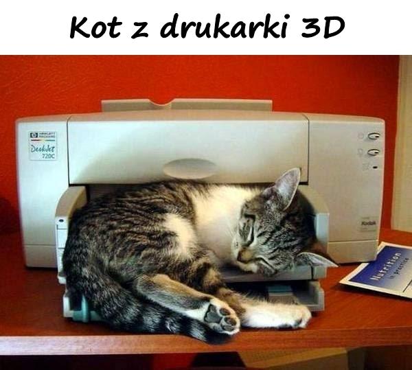 Kot z drukarki 3D