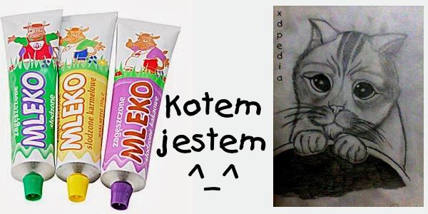 Kotem jestem