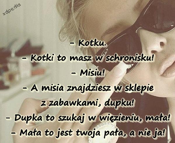 - Kotku. - Kotki to masz w schronisku! - Misiu! - A misia