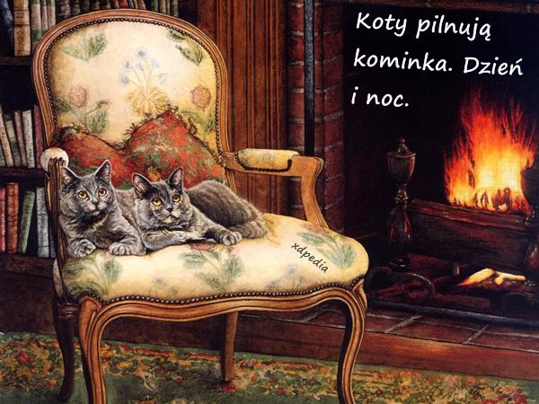 Koty pilnują kominka. Dzień i noc