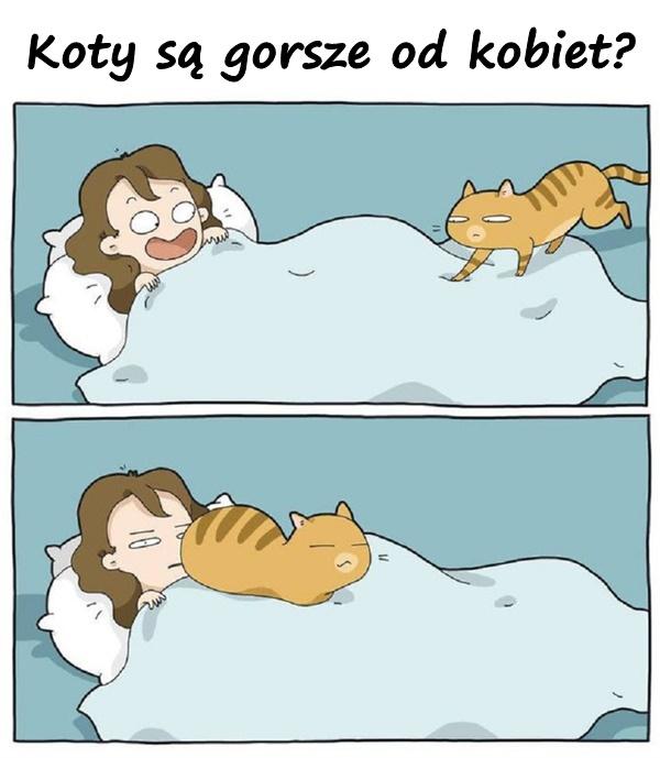 Koty są gorsze od kobiet