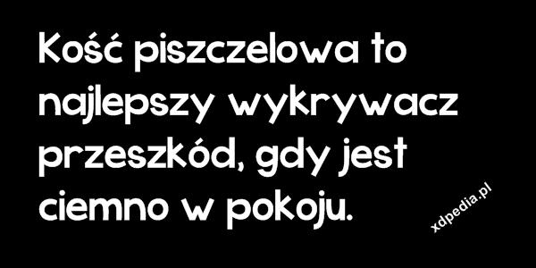 Kość piszczelowa to najlepszy wykrywacz przeszkód, gdy jest