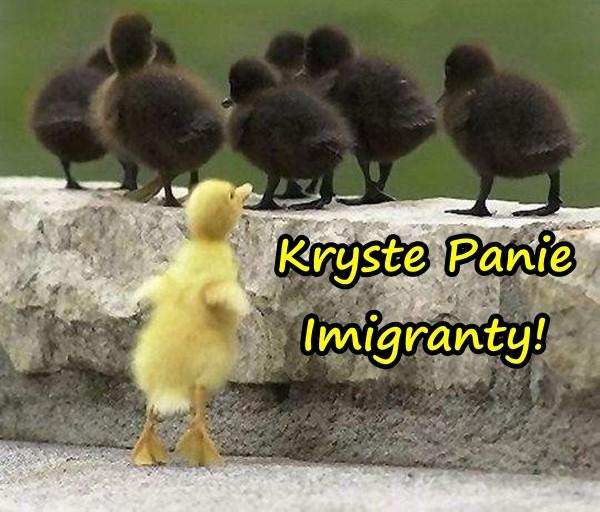 Kryste Panie Imigranty