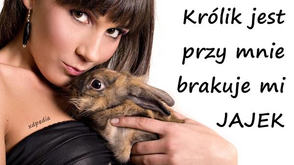 Królik jest przy mnie, brakuje mi JAJEK