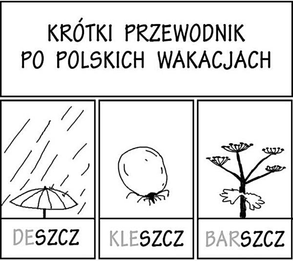 Krótki przewodnik po polskich wakacjach: deszcz, kleszcz