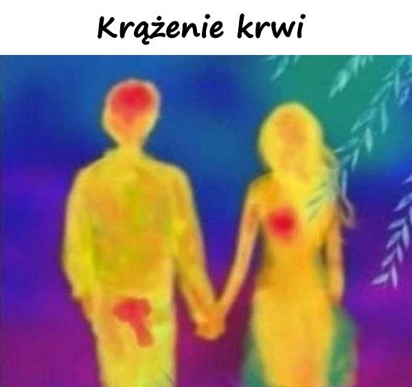 Krążenie krwi