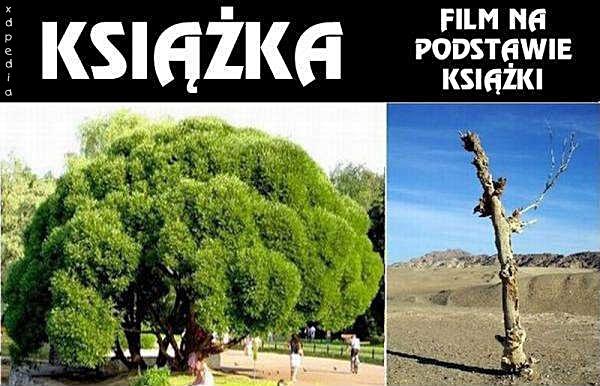 Książka vs. film na podstawie książki