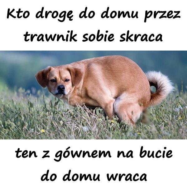 Kto drogę do domu przez trawnik sobie skraca, ten z gównem