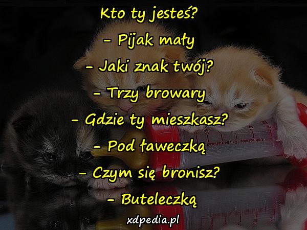 Kto ty jesteś? - Pijak mały - Jaki znak twój? - Trzy