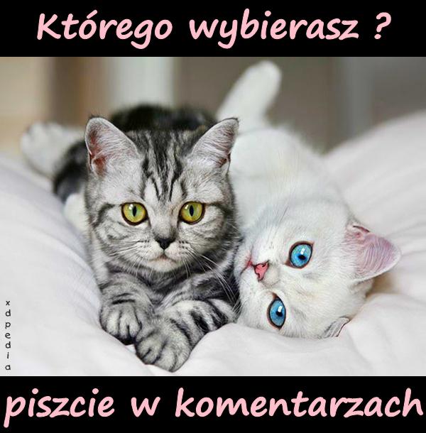 Którego wybierasz? Piszcie w komentarzach