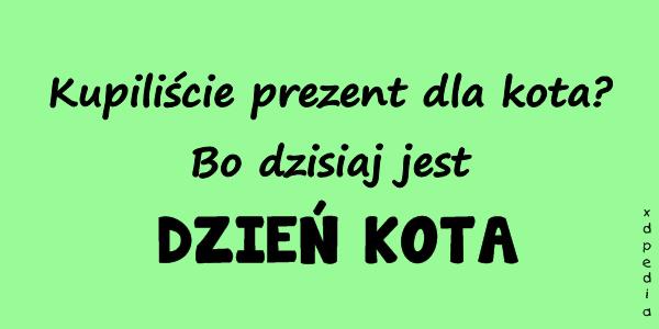 Kupiliście prezent dla kota? Bo dzisiaj jest DZIEŃ KOTA