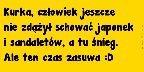 Kurka, człowiek jeszcze nie zdążył schować japonek i