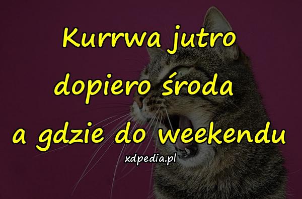 Kurrwa jutro dopiero środa a gdzie do weekendu