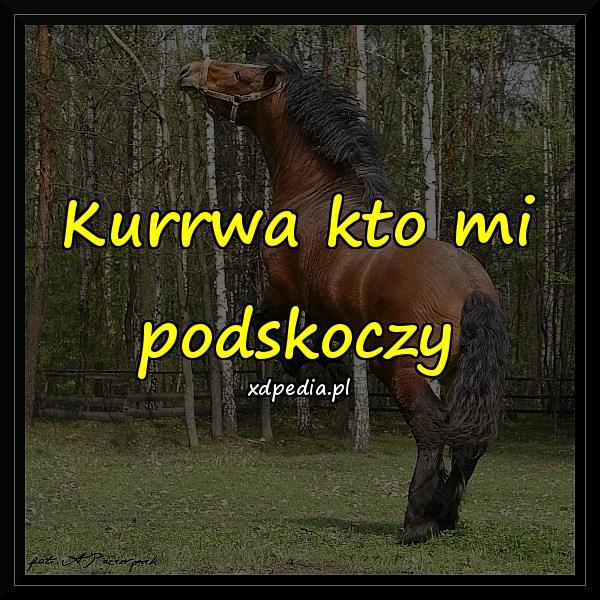 Kurrwa kto mi podskoczy