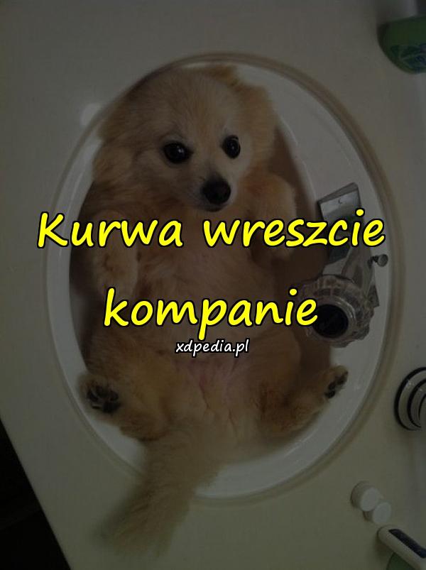 Kurwa wreszcie kompanie