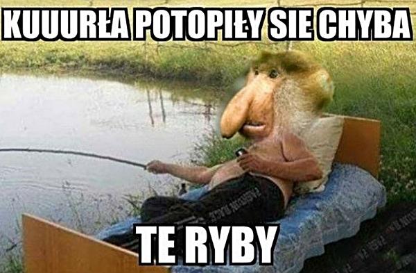 Kuuurła potopiły się chyba te ryby