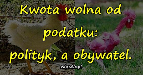 Kwota wolna od podatku: polityk, a obywatel