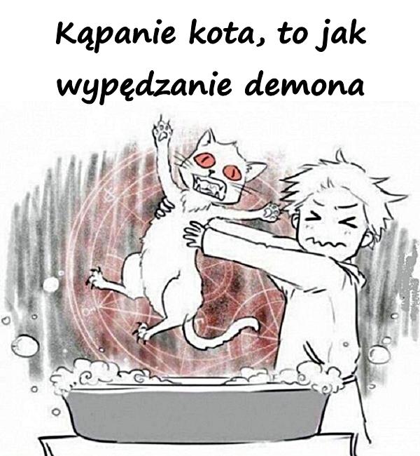 Kąpanie kota, to jak wypędzanie demona