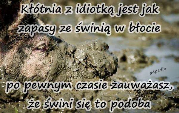 Kłótnia z idiotką jest jak zapasy ze świnią w błocie po