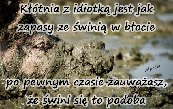 Kłótnia z idiotką jest jak zapasy ze świnią w błocie po