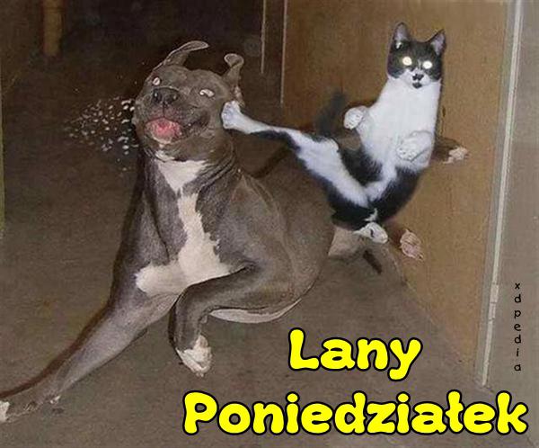 Lany Poniedziałek