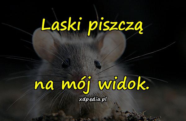 Laski piszczą na mój widok