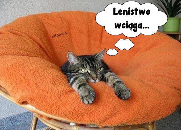 Lenistwo wciąga