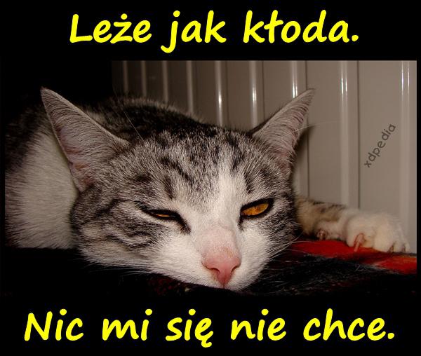 Leże jak kłoda. Nic mi się nie chce