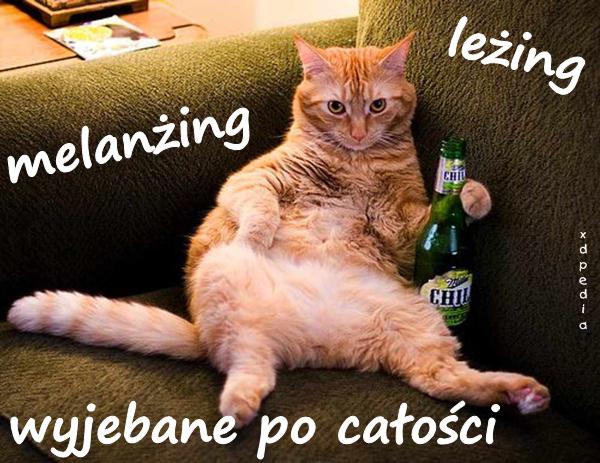 Leżing, melanżing, wyjebbane po całości