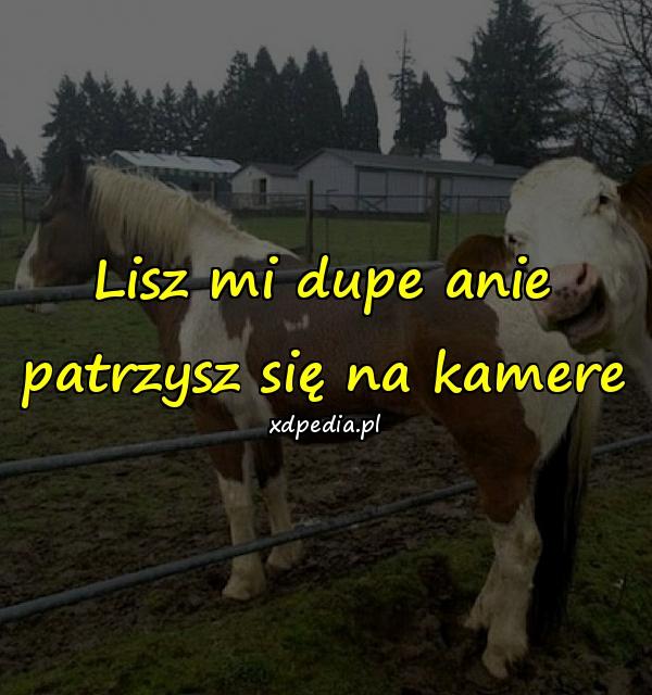 Lisz mi dupe anie patrzysz się na kamere