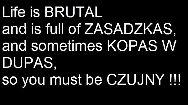 Live is brutal and full of ZASADZKAS and sometimes KOPAS W