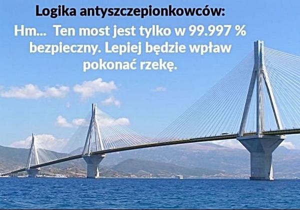 Logika antyszczepionkowców. Hm... Ten most jest tylko w