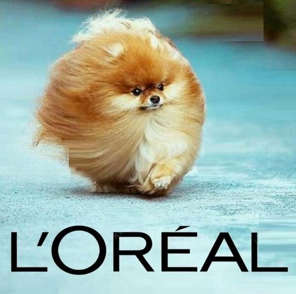 Loreal